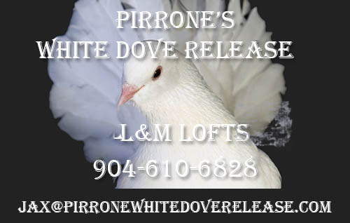 pirrone white dove release