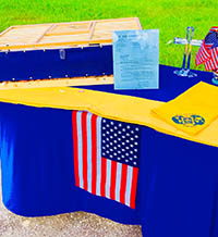yellow, blue and flag display